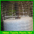 green bean climbing Netting supplier / plastic plants support net